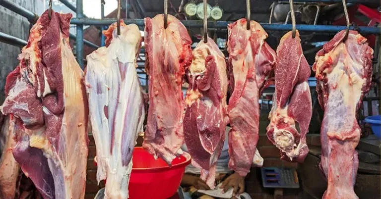 গরুর মাংস